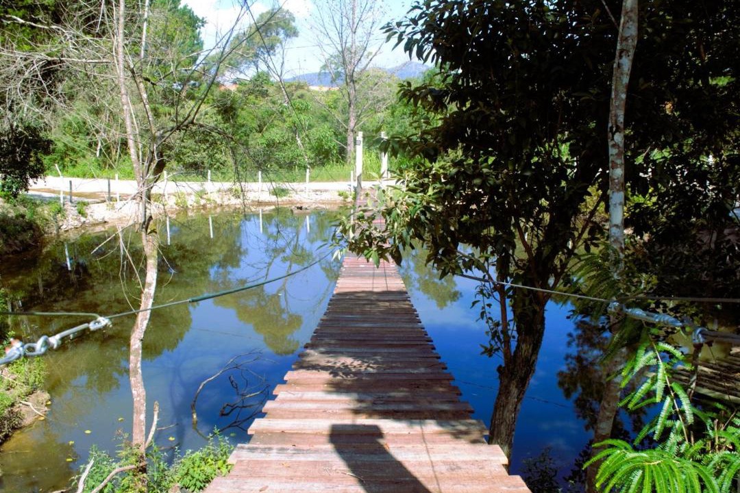 Photo of Others in Curitiba