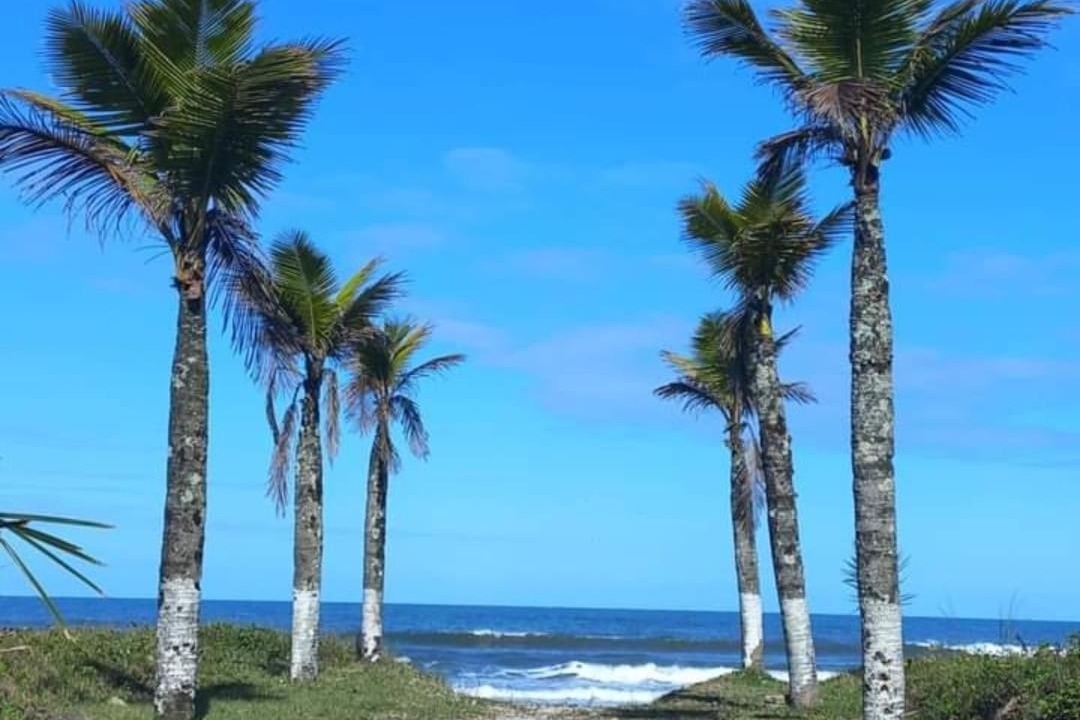 Photo of Others in Balneario Praia do Leste