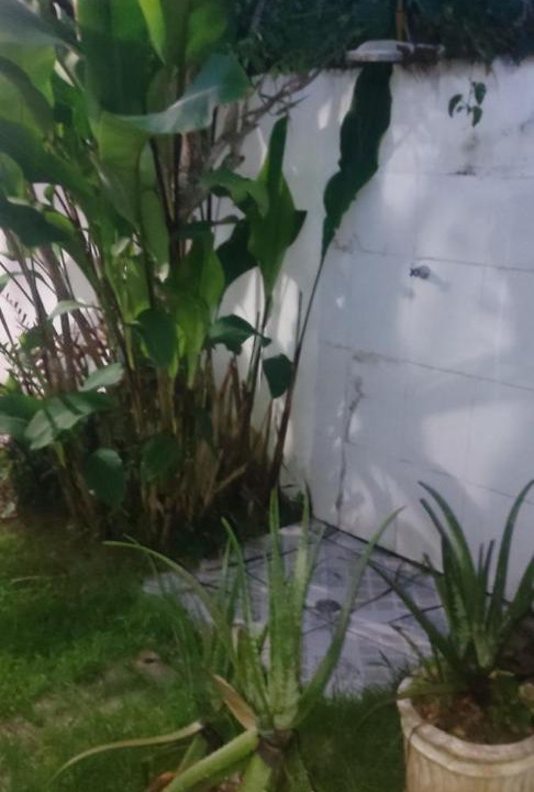 Photo of Outdoor in Jardim Capricornio