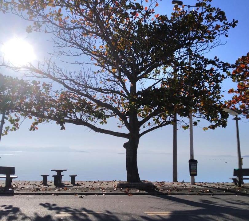 Photo of Others in Florianopolis