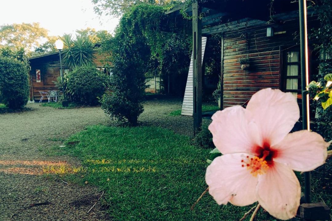 Photo of Others in San Ignacio
