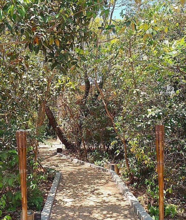 Photo of Outdoor in Fatima