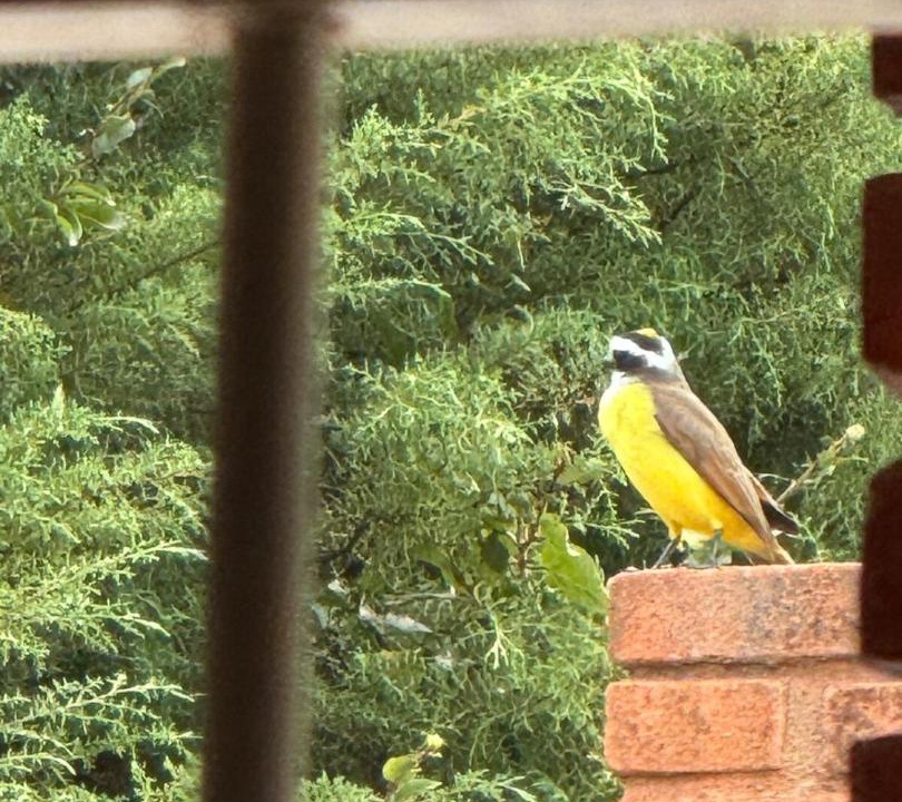 Photo of Others in Terra Preta