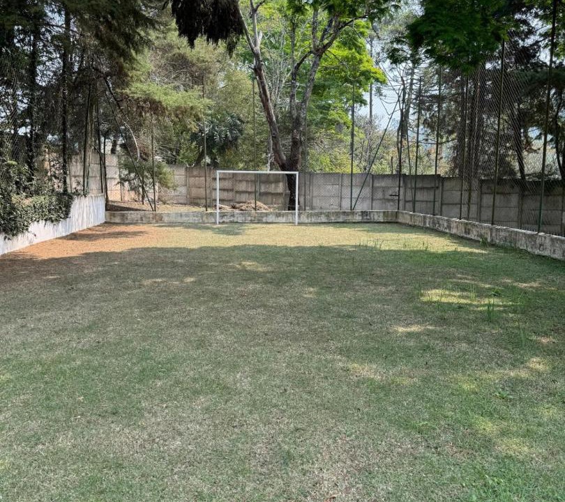 Photo of Others in Terra Preta