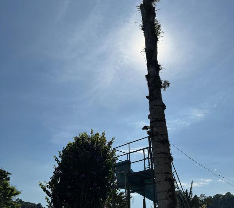Photo of Outdoor in Terra Preta
