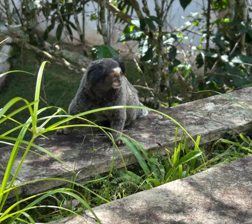 Photo of Others in Mairipora