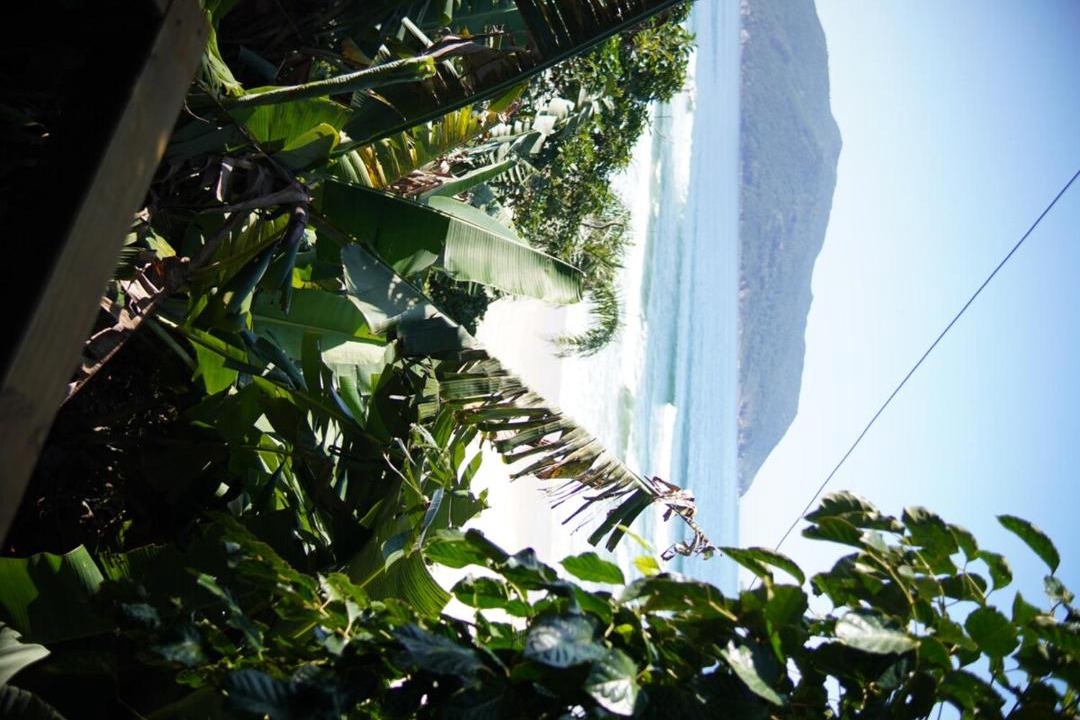 Photo of Others in Rio das Pacas