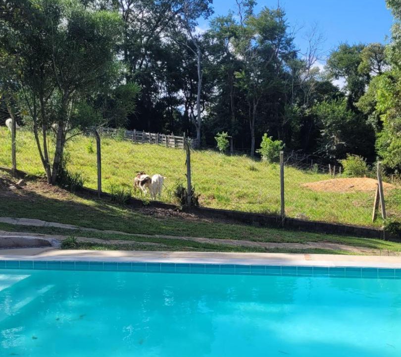 Photo of Others in Aracoiaba da Serra