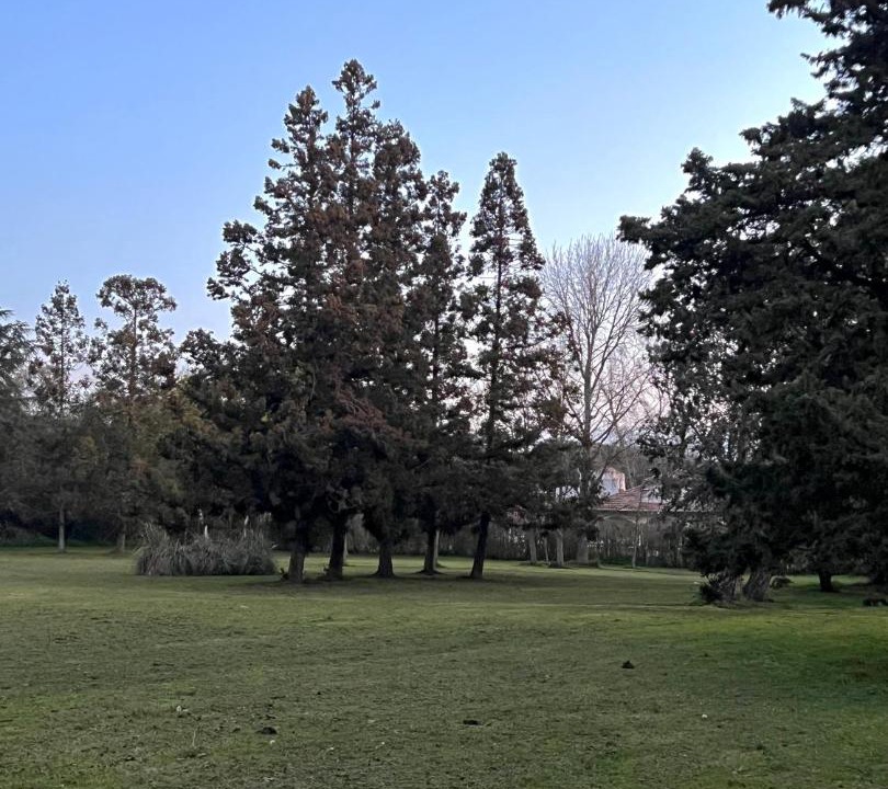 Photo of Others in Villa San Luis