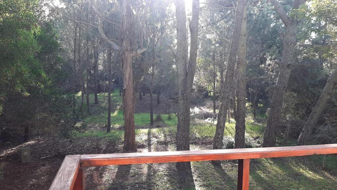 Photo of Others in Mar de Las Pampas