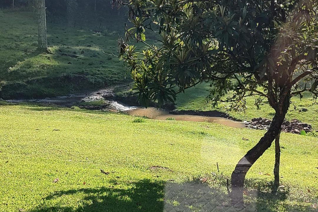 Photo of Others in Santa Cruz do Sul
