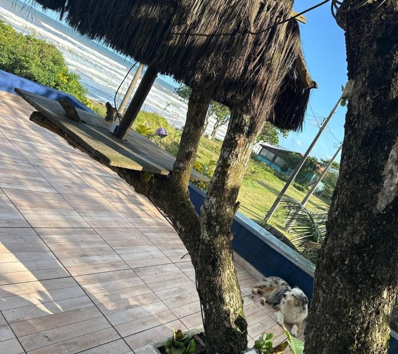 Photo of Others in Iguape