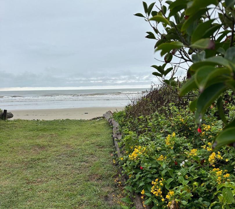 Photo of Others in Iguape