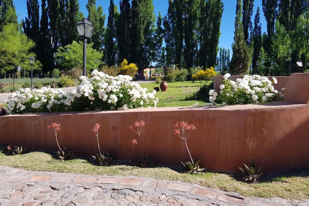 Photo of Others in Barreal