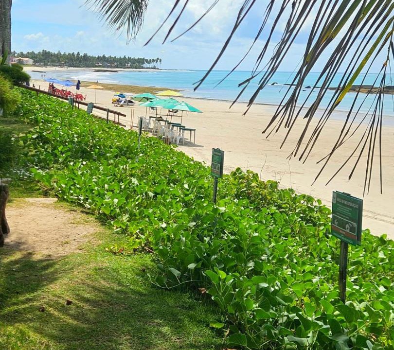 Photo of Others in Tamandare