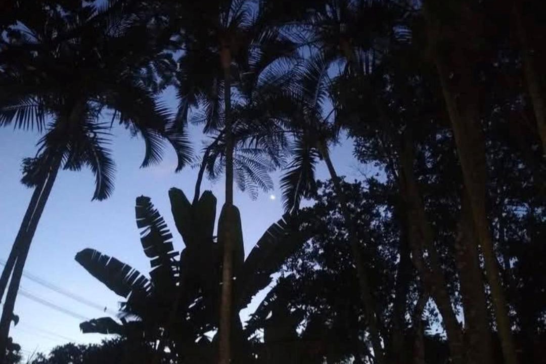 Photo of Outdoor in Maresias