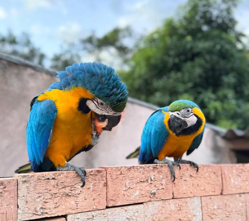 Photo of Others in Sobradinho II