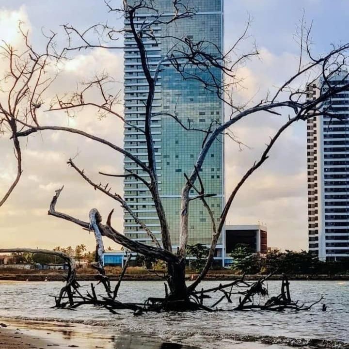 Photo of Others in Barra de Jangada