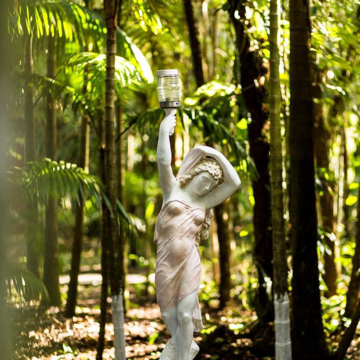 Photo of Others in Palmital