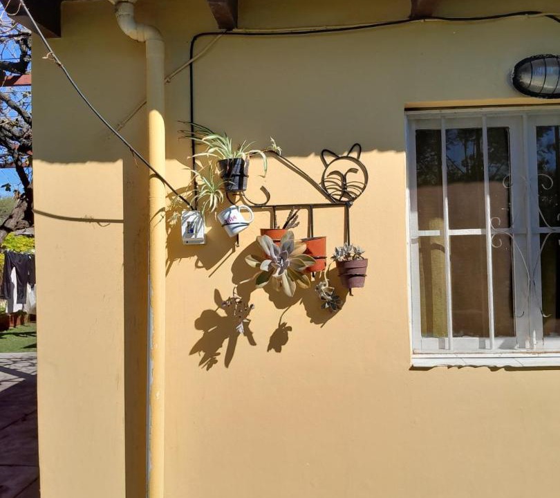 Photo of Others in San Agustin de Valle Fertil