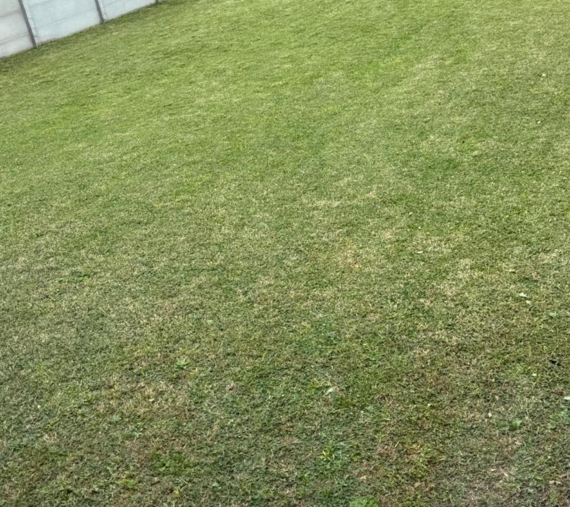 Photo of Others in Dolores