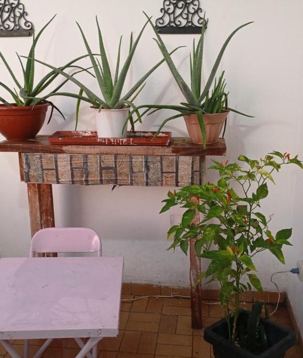 Photo of Others in Corumba