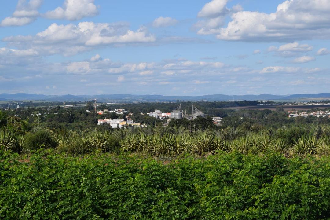 Photo of Others in Holambra