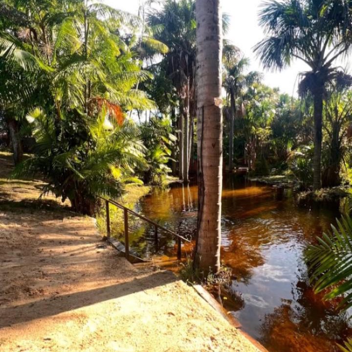 Photo of Others in Barreirinhas