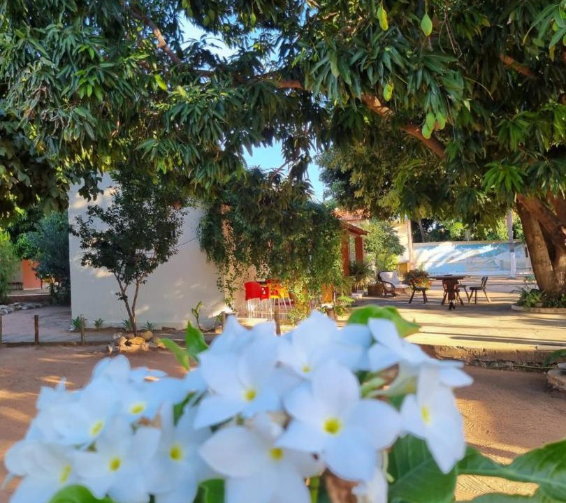 Photo of Others in Bom Jesus Da Lapa