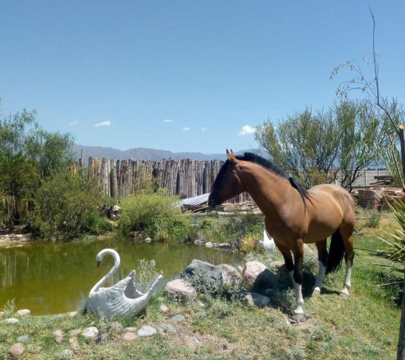 Photo of Others in Lujan de Cuyo