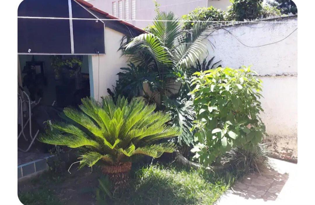 Photo of Others in Pinheirinho