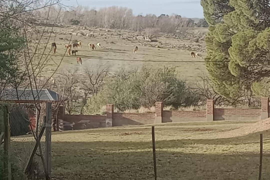 Photo of Others in Villa Ventana