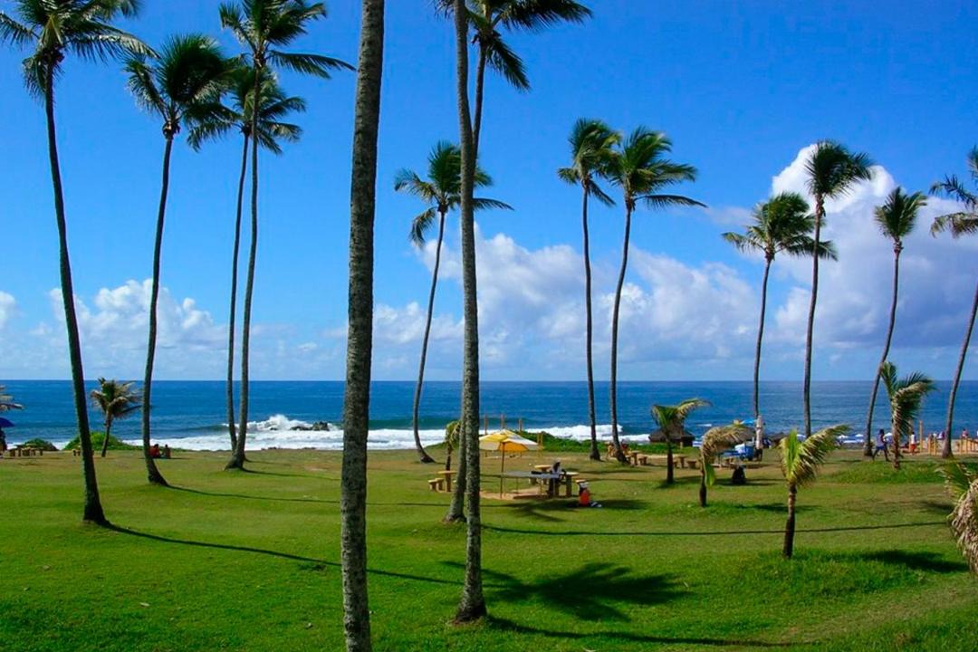 Photo of Others in Boca do Rio