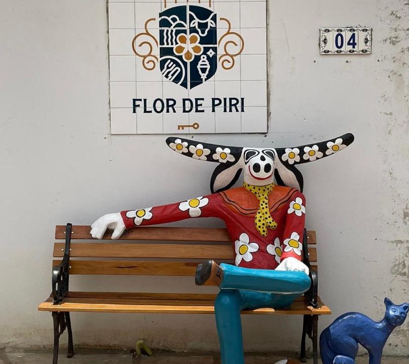 Photo of Others in Pirenopolis