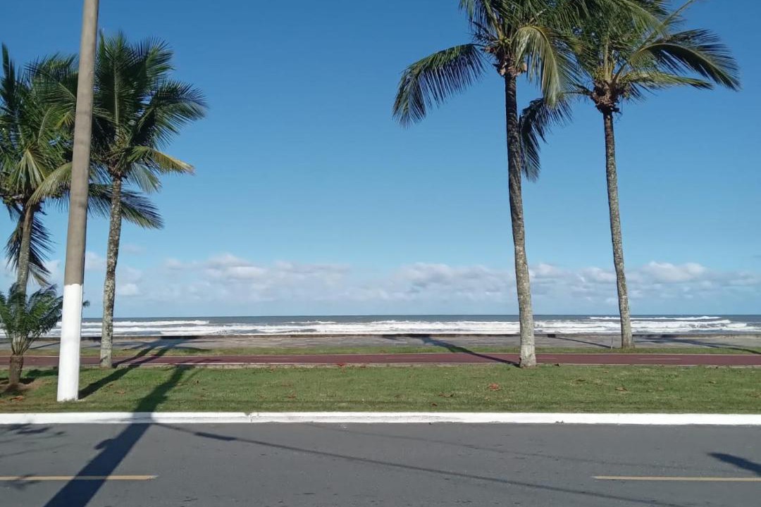 Photo of Others in Florida