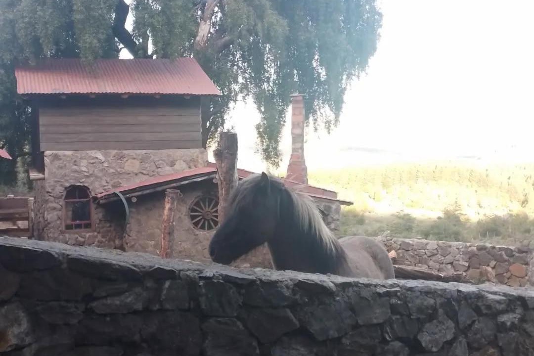 Photo of Others in San Martin de los Andes