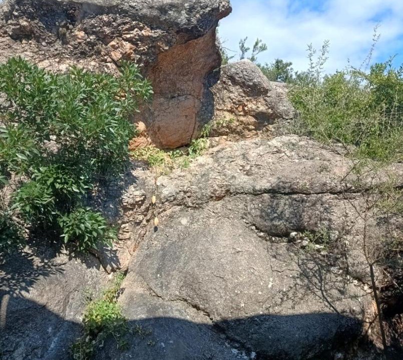 Photo of Others in San Esteban