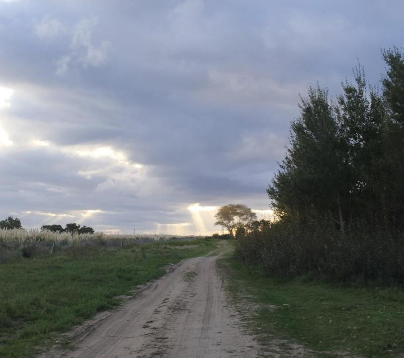 Photo of Others in Aguas Verdes