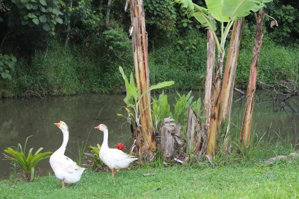 Photo of Others in Cotia