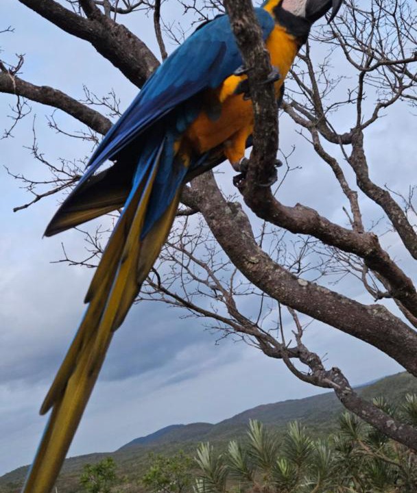 Photo of Others in Alto Paraiso de Goias