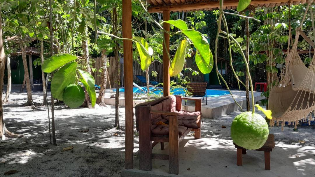 Photo of Others in Cumuruxatiba