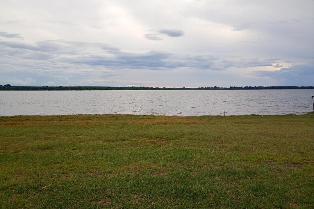 Photo of Others in Santa Fe do Sul