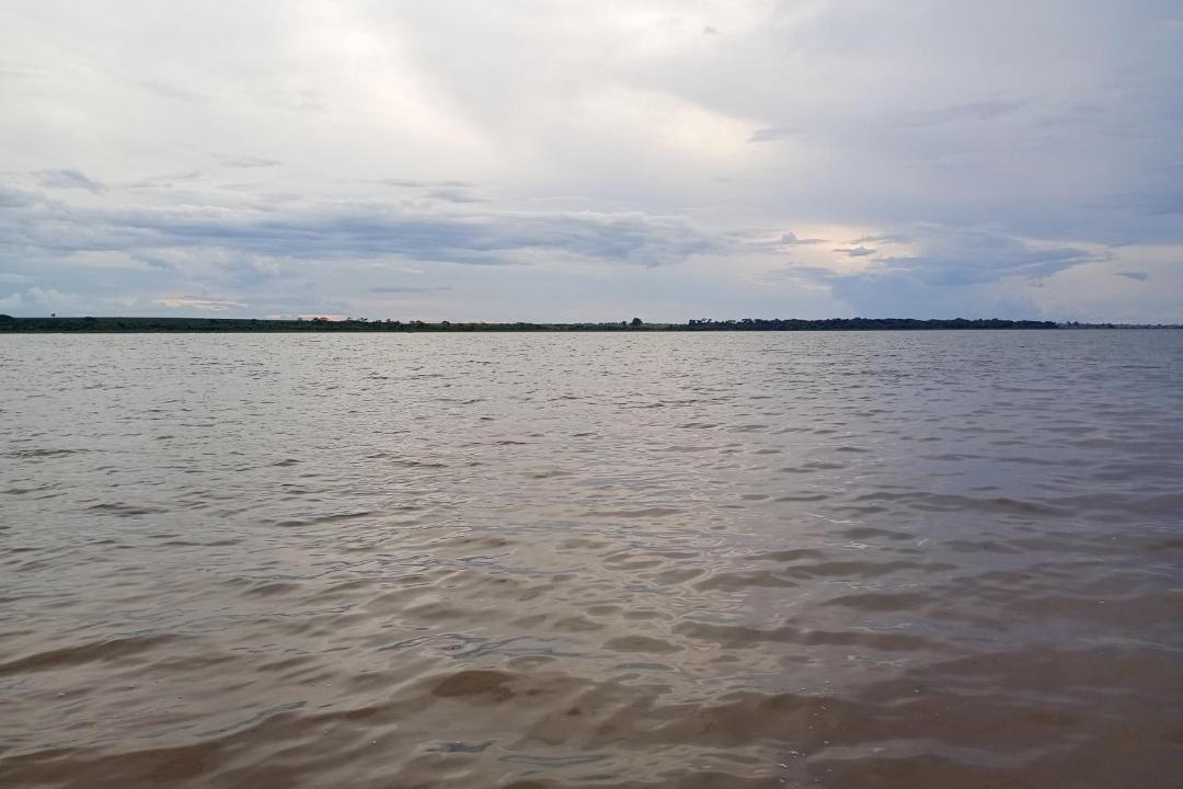 Photo of Others in Santa Fe do Sul