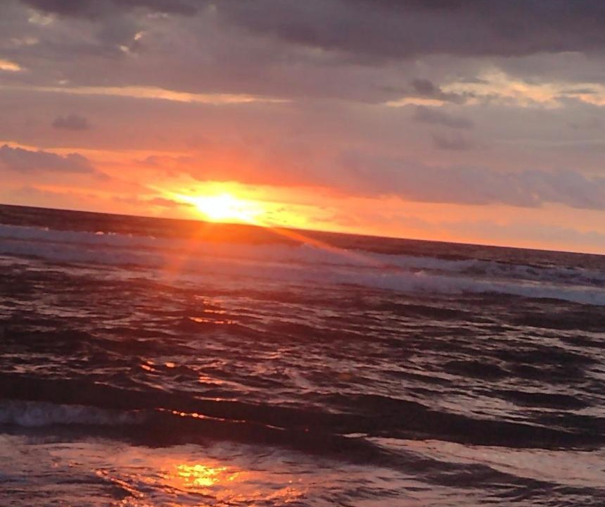 Photo of Others in Campeche Sul