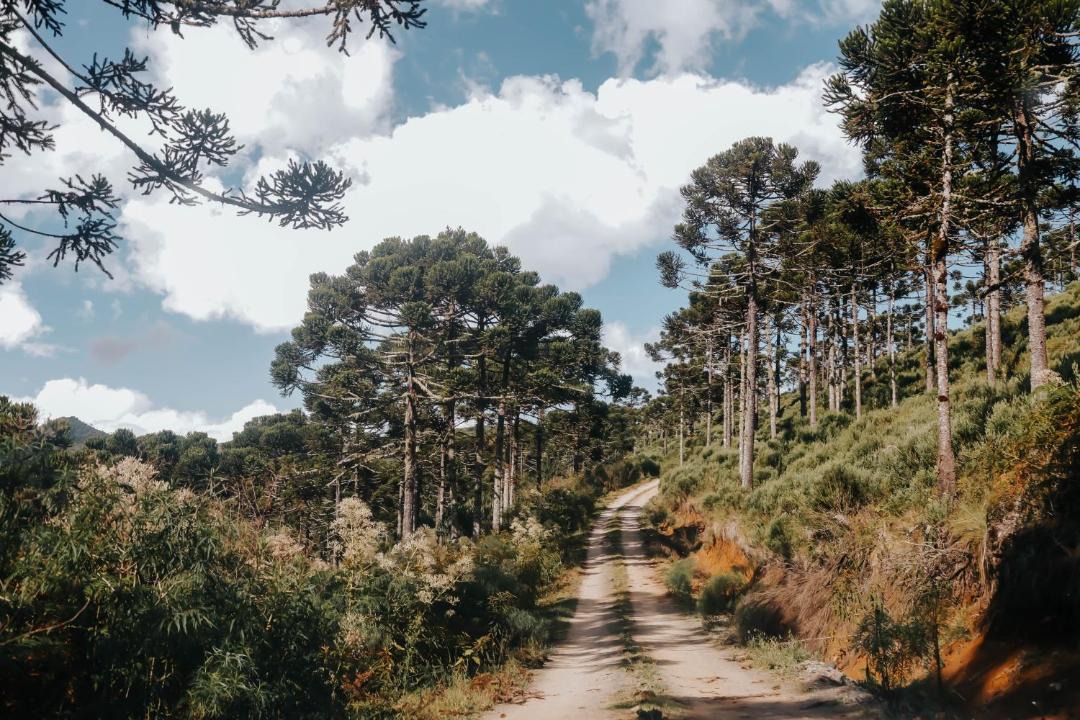 Photo of Others in Urubici