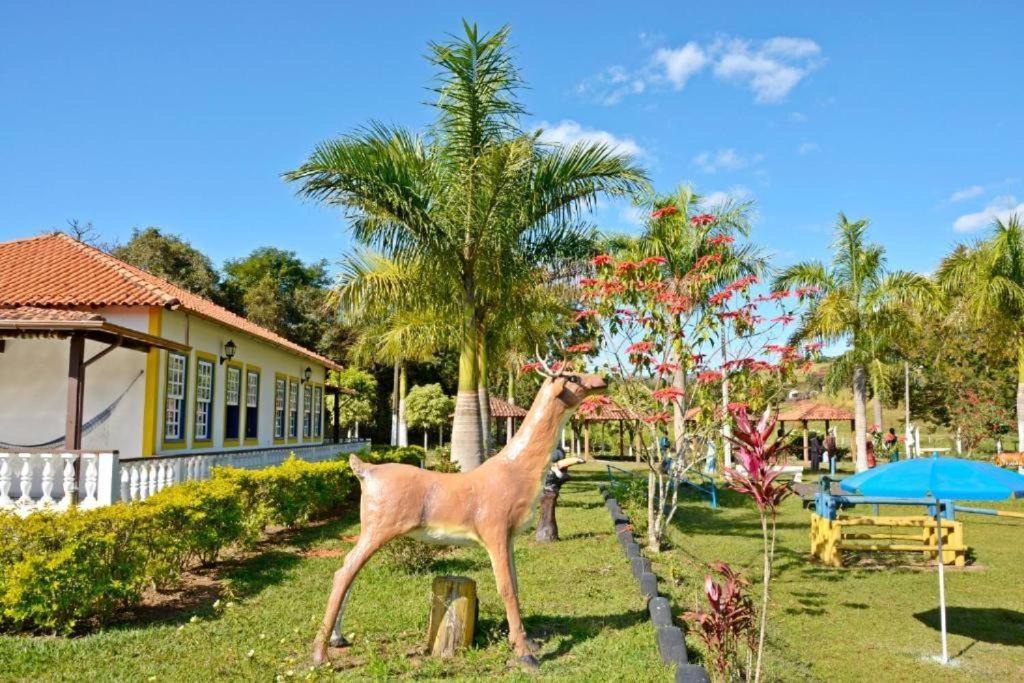 Photo of Others in Caxambu