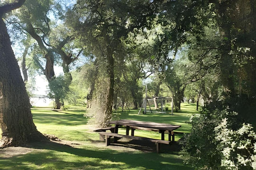 Photo of Others in Ramallo