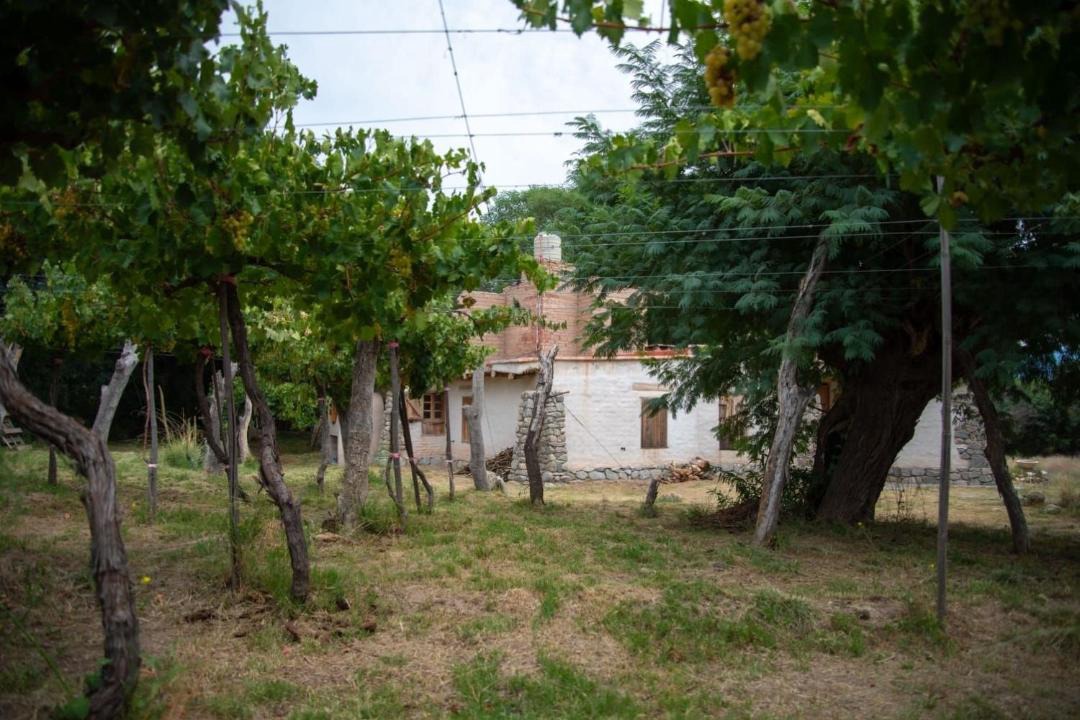 Photo of Others in Amaicha Del Valle