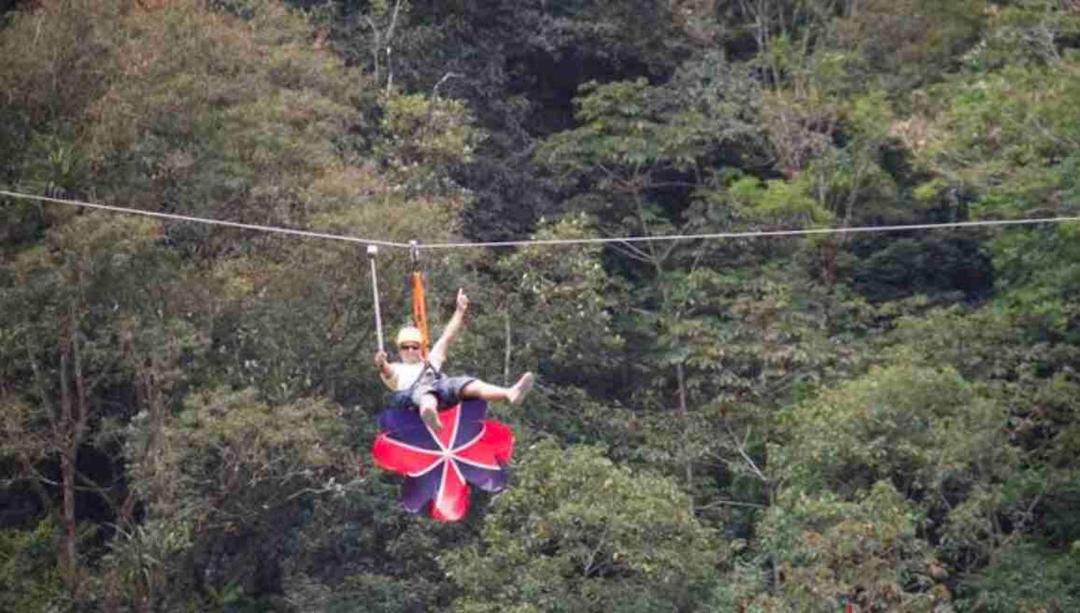 Photo of Others in Bonito