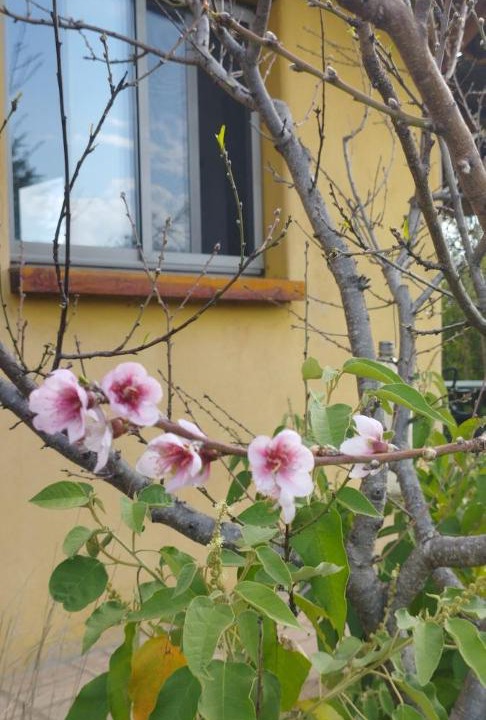 Photo of Outdoor in San Esteban